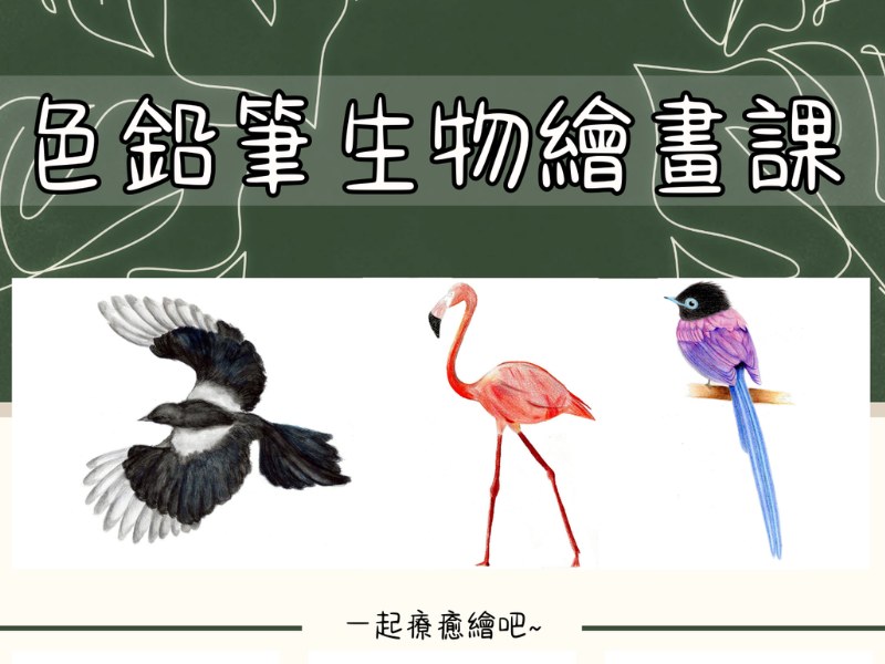 【10月】色鉛筆生物繪畫課 