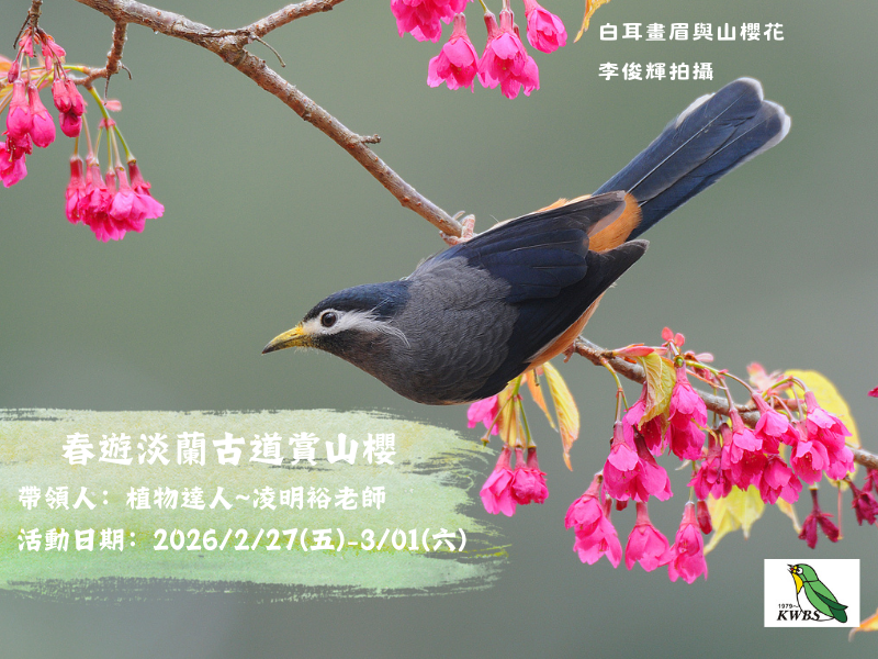 【2月】2.27~3.01 春遊淡蘭古道賞山櫻