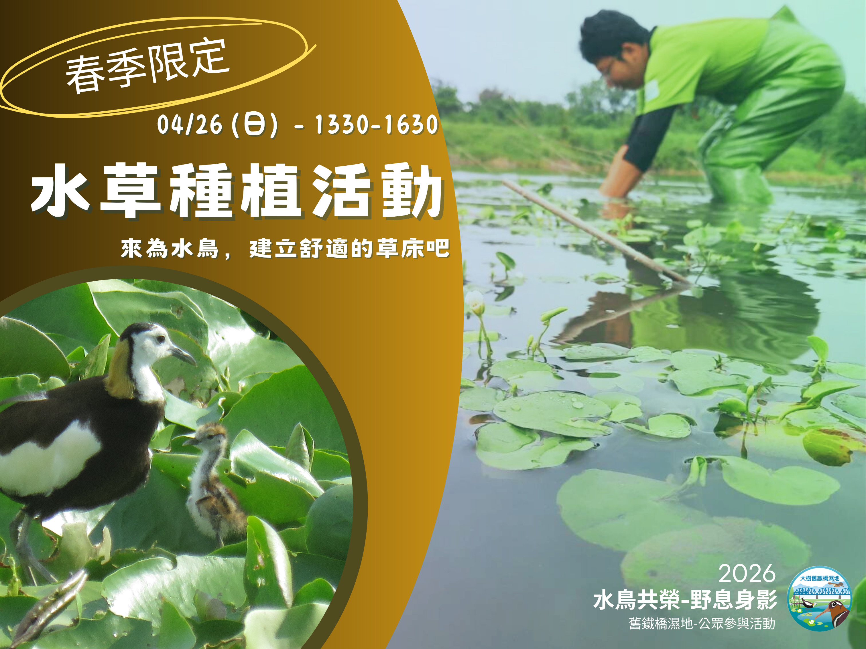 【大樹舊鐵橋溼地─水鳥共榮-野息身影】─2026.4.26 春季活動～🌱水草種植活動