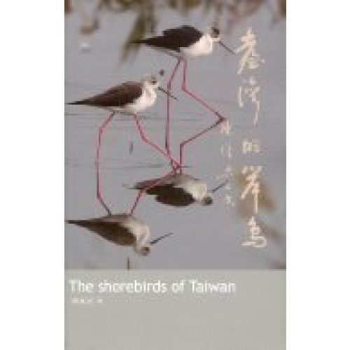 台灣的岸鳥