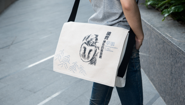 草鴞帆布書包