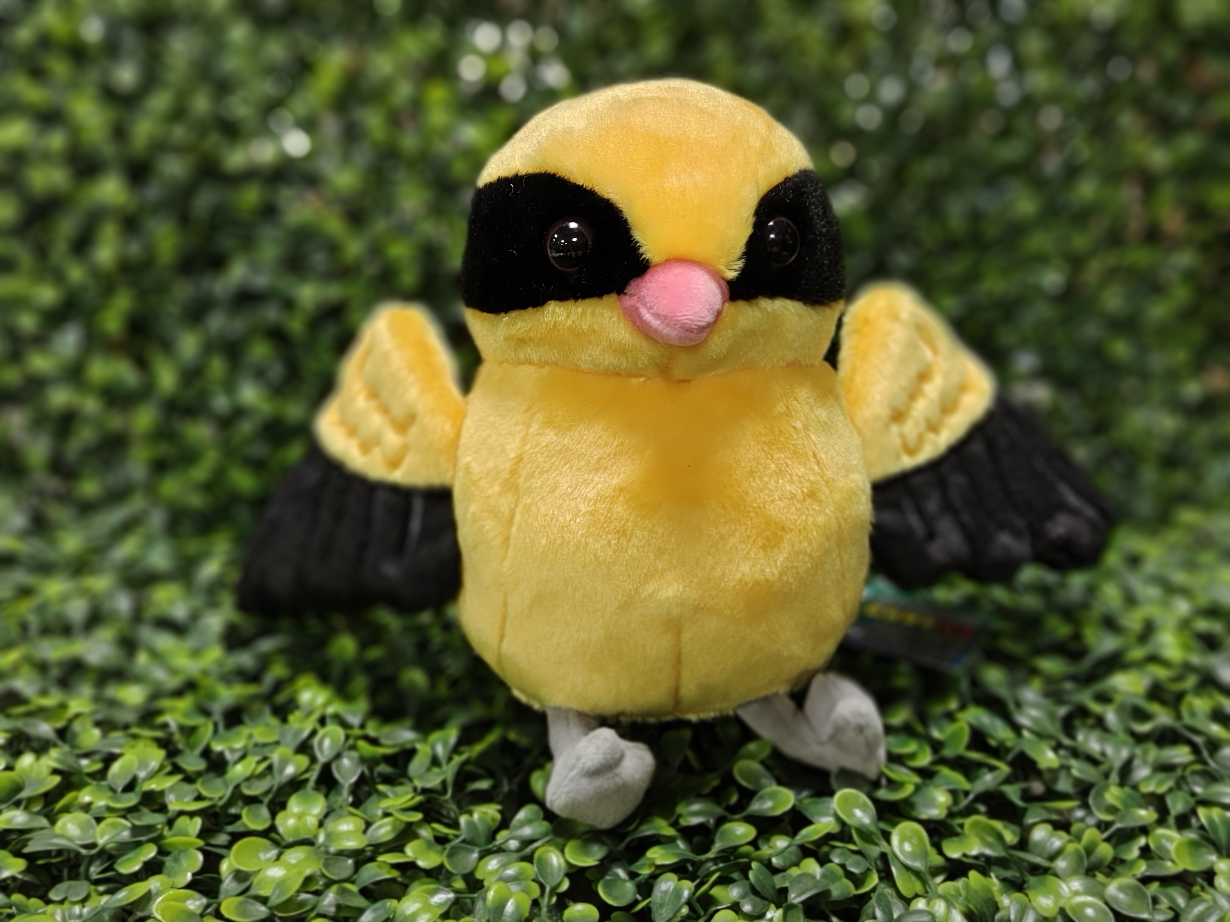 黃鸝鳥布偶陪你展翅飛翔~6吋布偶